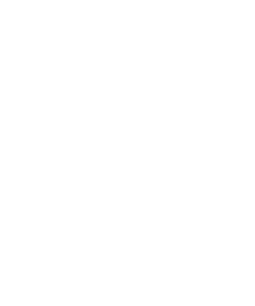 Von Durpin Logo