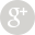 Google Plus Icon